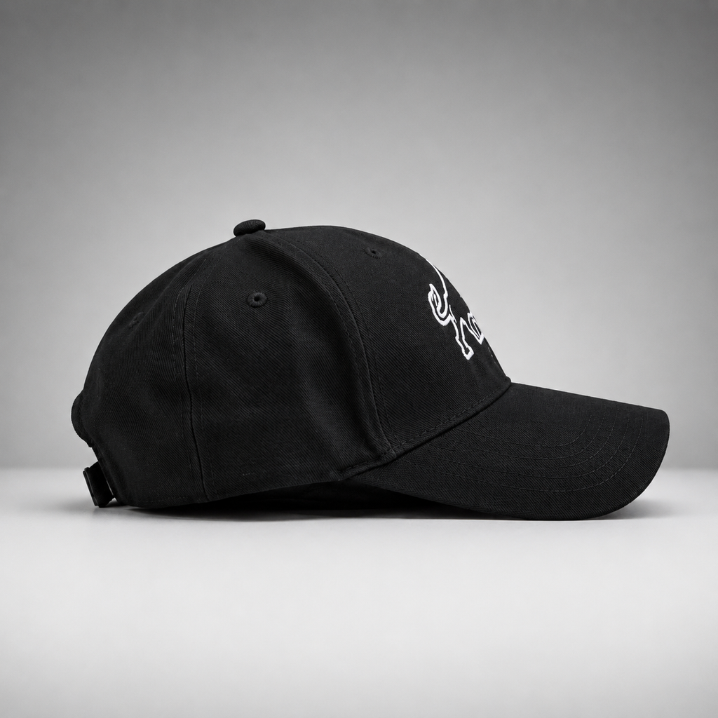CNS Bison Embossed Cap