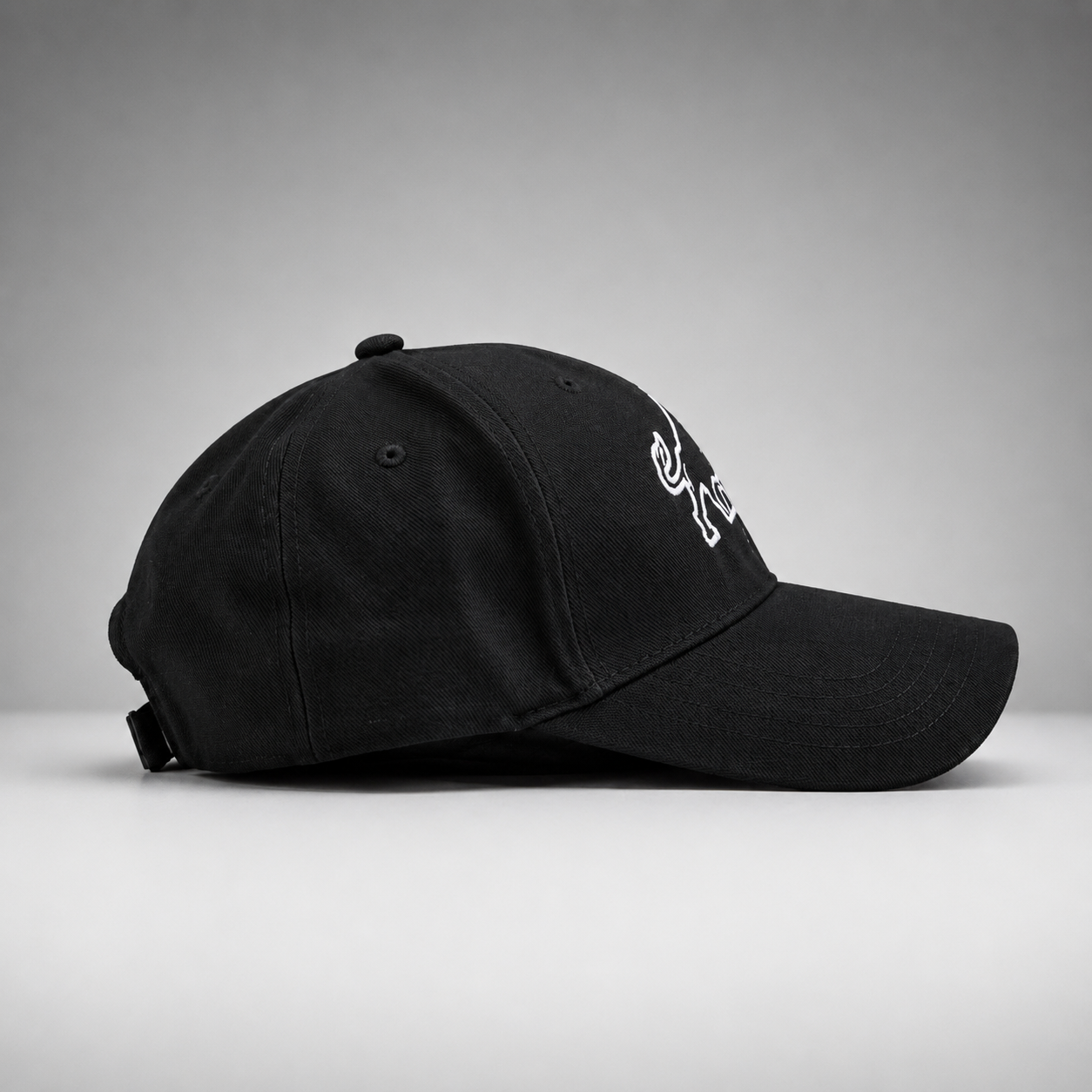 CNS Bison Embossed Cap