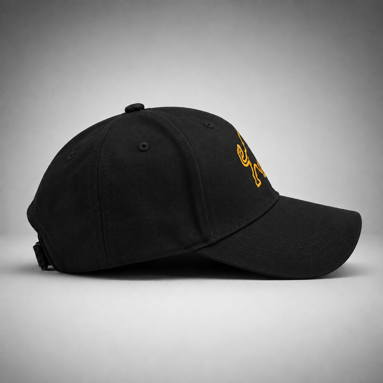 CNS Bison Embossed Cap