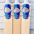 Player Edition Cricket Bat